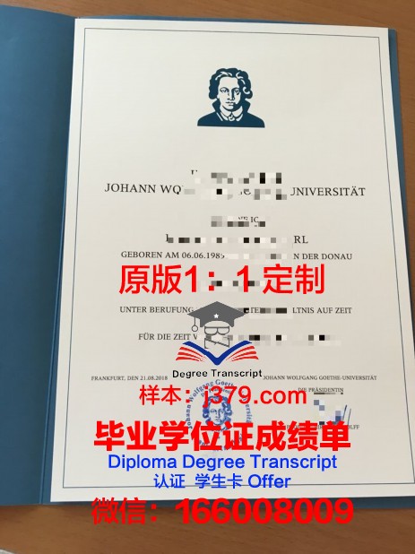 法兰克福造型艺术学院博士毕业证书(法兰克福大学法学博士)