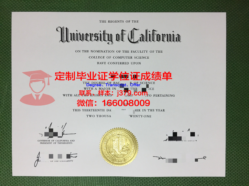 突尼斯埃尔玛娜尔大学毕业证：一份跨越文化与地域的荣誉