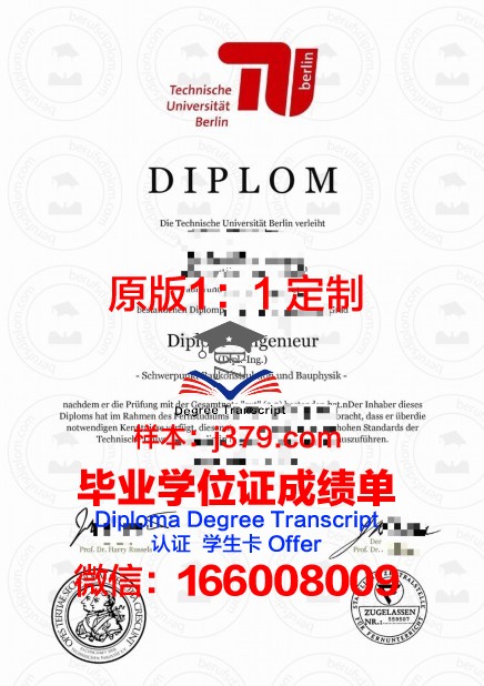 柏林艺术大学毕业证Diploma文凭