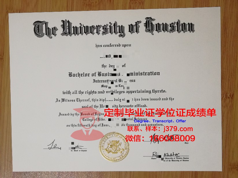 美国维博国际大学毕业文凭