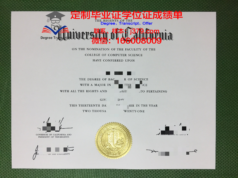 群马大学毕业证模板(毕业证大学图片)