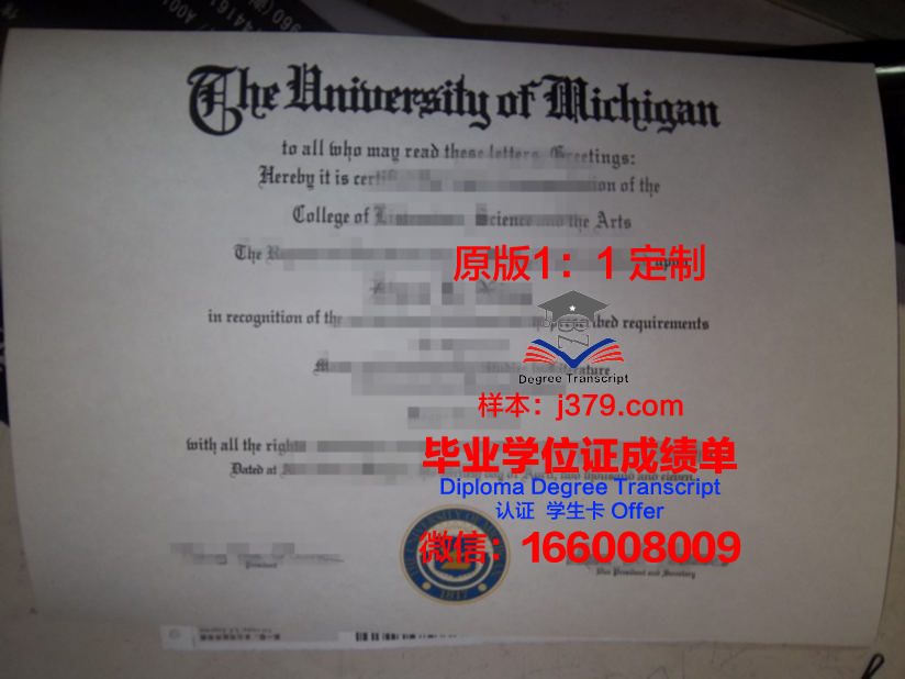 波尔多国立高等电子信息与无线电通讯学院毕业证翻译(波尔多大学专业)