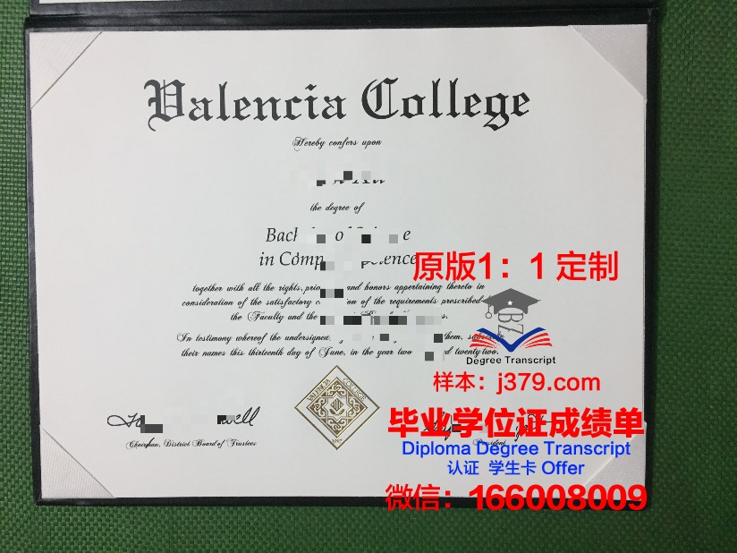 瓦伦西亚大学毕业证电子版