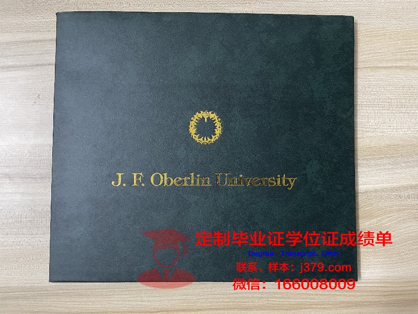 群马大学毕业证书图片高清(群马大学在日本哪里)