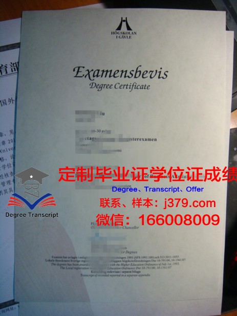 瑞典中部大学毕业证是什么样子(瑞典中部大学毕业证是什么样子的图片)