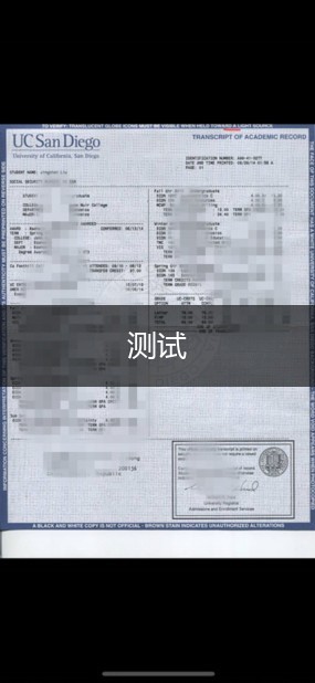 考试成绩单表格模板——教育管理的重要工具