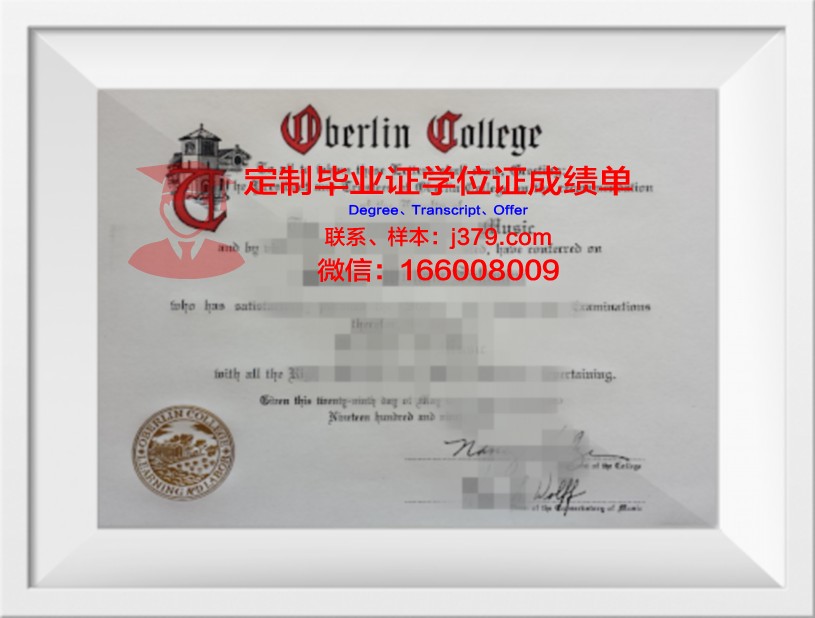 柏林工业大学毕业证电子版