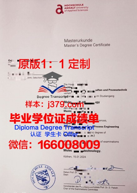 波恩-莱茵-锡格应用技术大学毕业证书模板(波恩-莱茵-齐格应用技术大学排名)