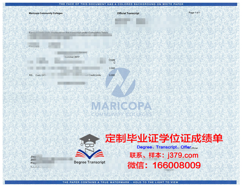 林恩-本顿社区学院硕士毕业证(林本顿社区大学)