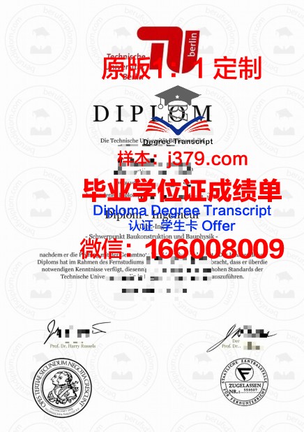 柏林工业大学毕业证电子版(柏林工业大学毕业证电子版查询)