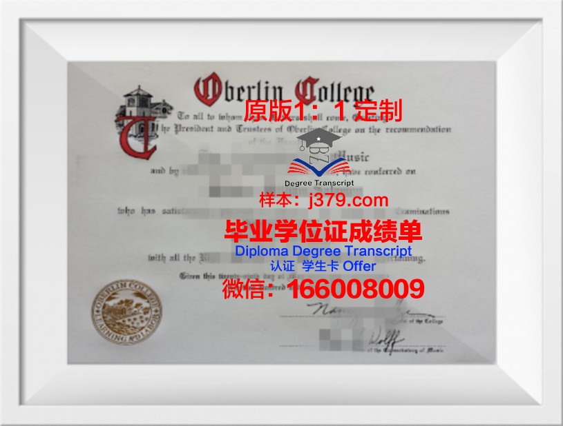 柏林白湖艺术学院博士毕业证书(德国柏林白湖艺术学院)