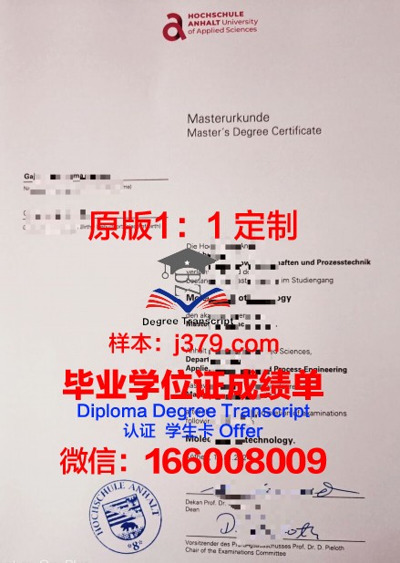 耶拿应用技术大学毕业证书什么颜色(应用技术学院毕业证)