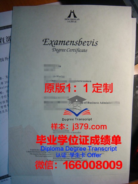 瑞典克里斯蒂安斯塔德大学学院 diploma 毕业证