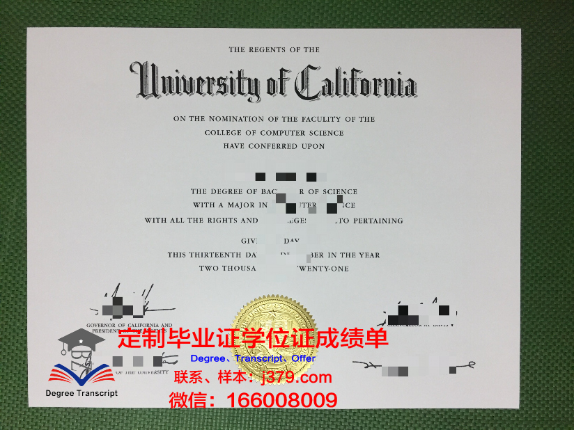 弗鲁米嫩塞联邦大学毕业证照片(弗鲁米嫩塞对塞阿拉的比分预测)