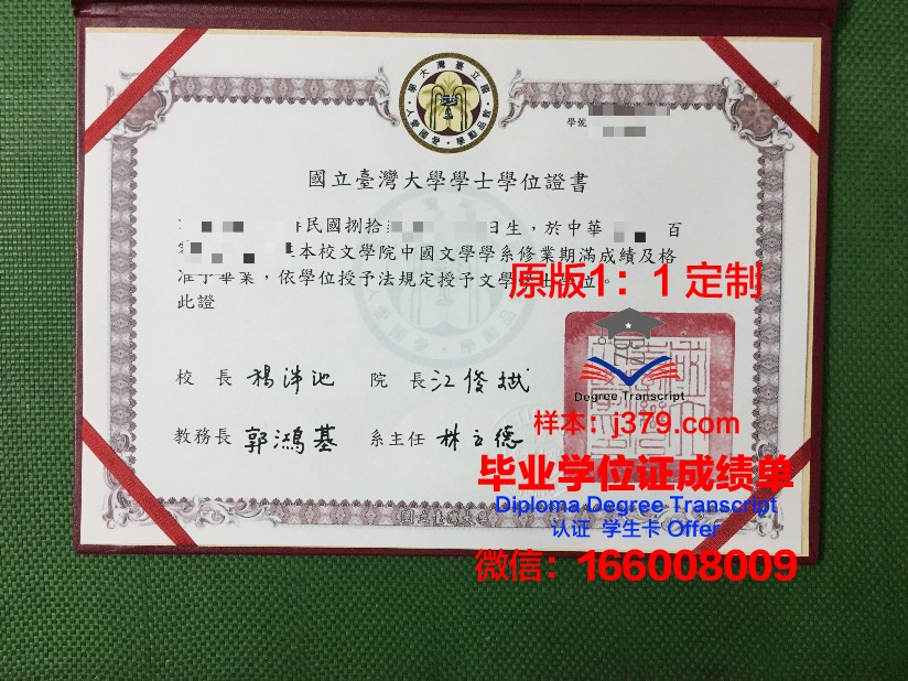 彼尔姆国立技术大学毕业证高清图(彼尔姆国立大学宿舍)