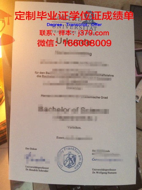 法兰克福金融与管理学院学生卡(法兰克福商学院申请条件)