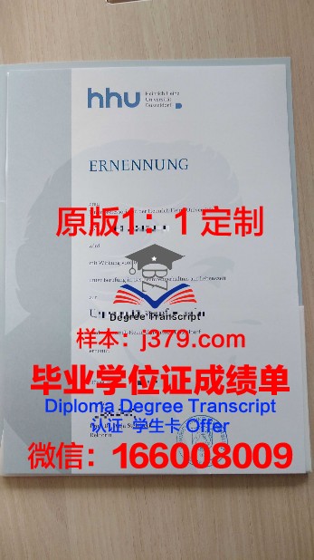 杜塞尔多夫艺术学院博士毕业证：一份跨越艺术与学术的荣耀证书