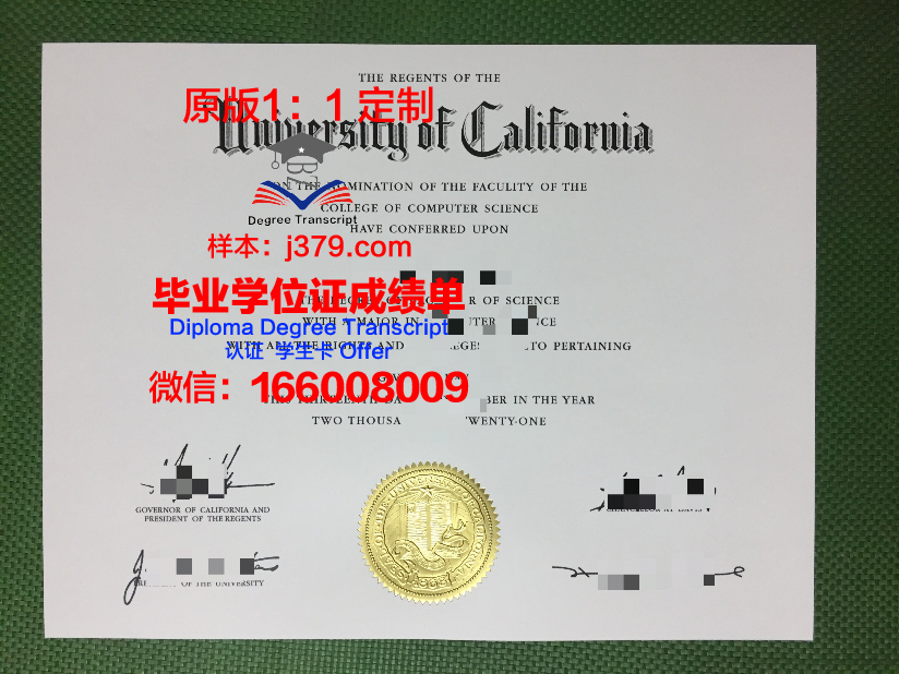 東京国際交流学院毕业证Diploma文凭