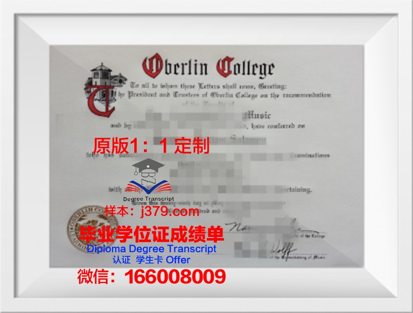 柏林商学院硕士毕业证(柏林商业与创新学院)