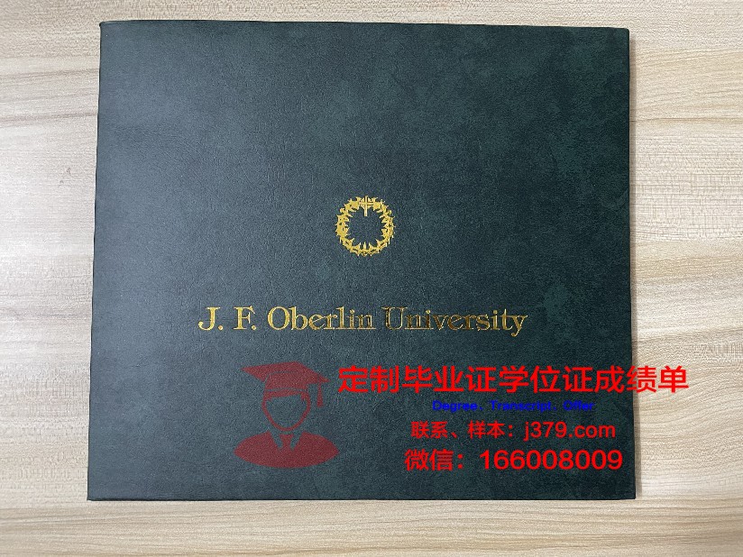波尔多第四大学毕业证案例(波尔多第三大学)