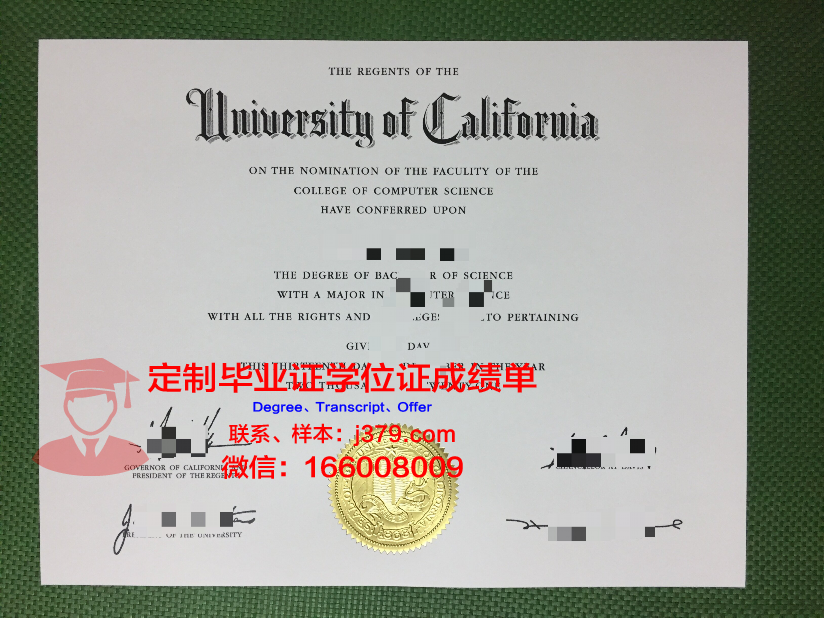 群山大学毕业证：一张纸背后的故事与价值