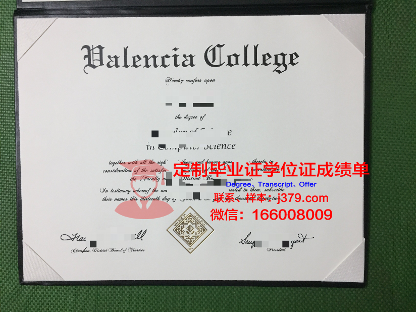 瓦伦西亚学院硕士毕业证：开启国际化职业发展的大门