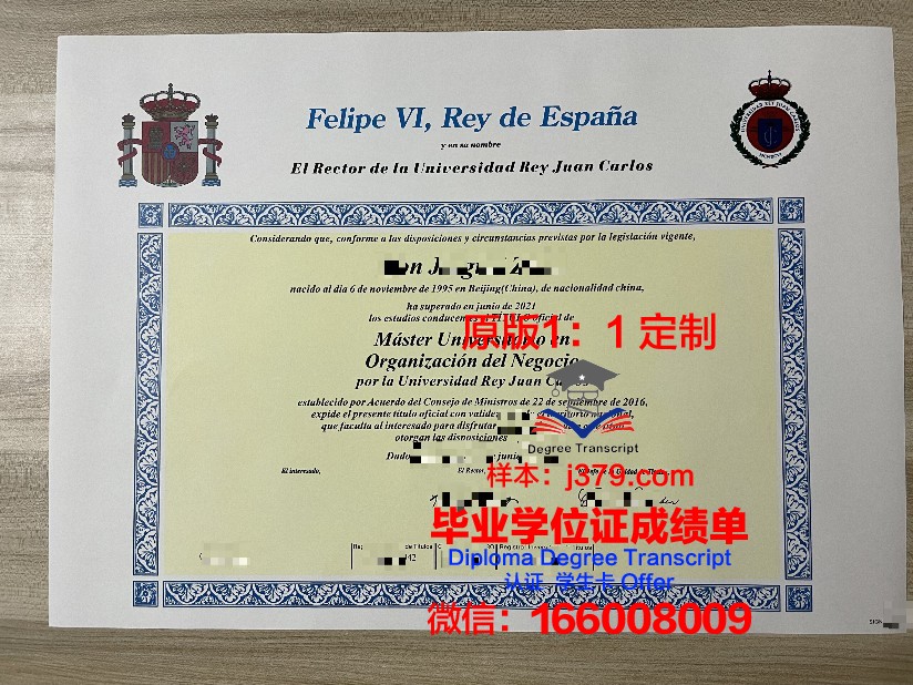 胡安卡洛斯国王大学学生证(西班牙胡安卡洛斯国王大学申请)