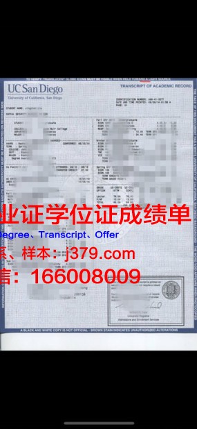 纽斯成绩单：揭示学生学习成果的新视角