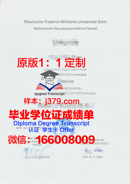 波恩大学毕业证学位文凭学历Diploma