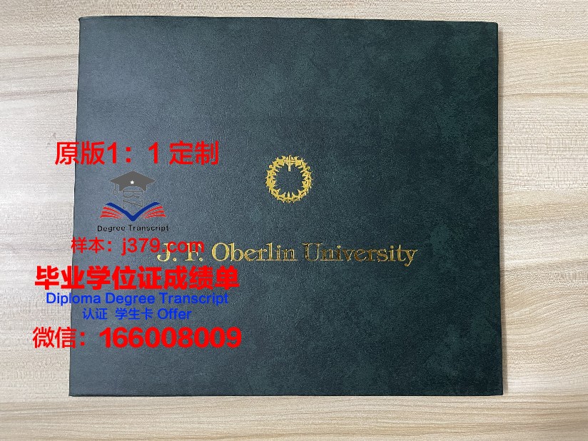 美茵茨大学文凭(美因茨大学排名)