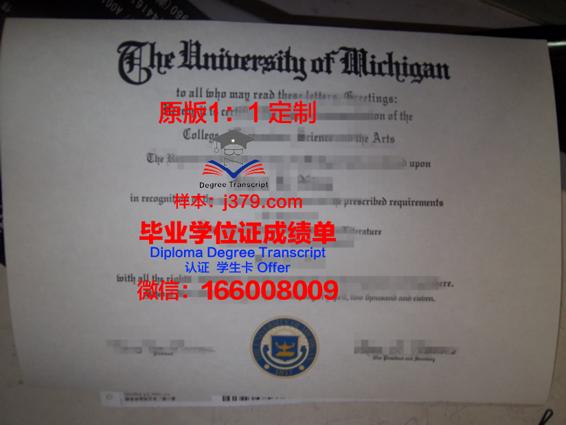 穆罕默德五世大学毕业证图片
