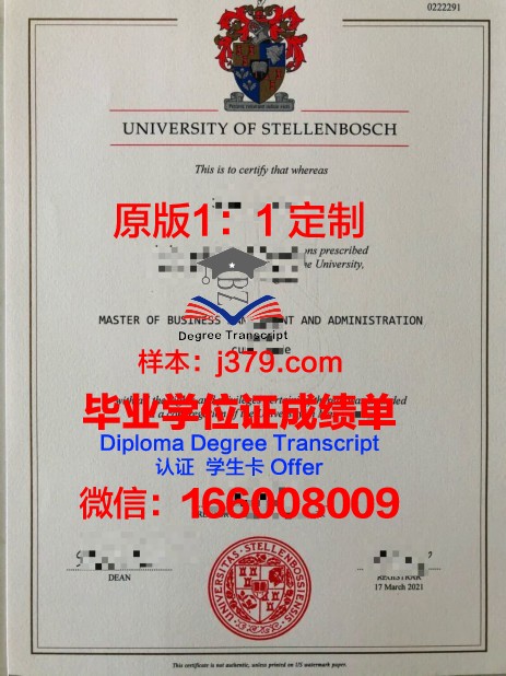 泰伦博斯本科毕业证：一张纸的重量与价值