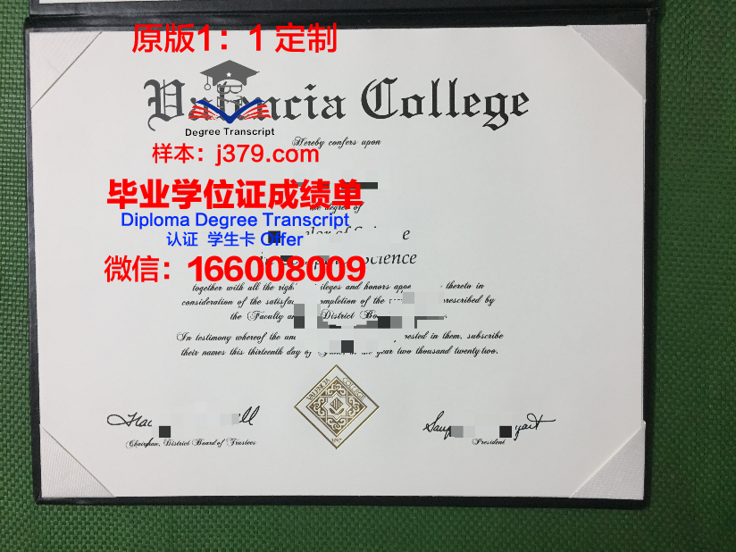 瓦伦西亚大学毕业证电子版