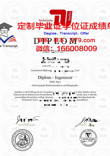 柏林艺术大学硕士毕业证书样本(柏林艺术大学研究生入学要求)