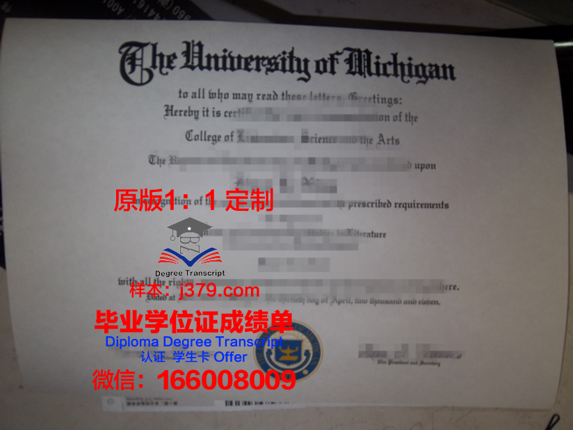 没有毕业证申请国外研究生(没有毕业证可以去国外留学吗)