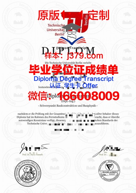柏林工业大学毕业证案例(柏林工业大学申请案例)