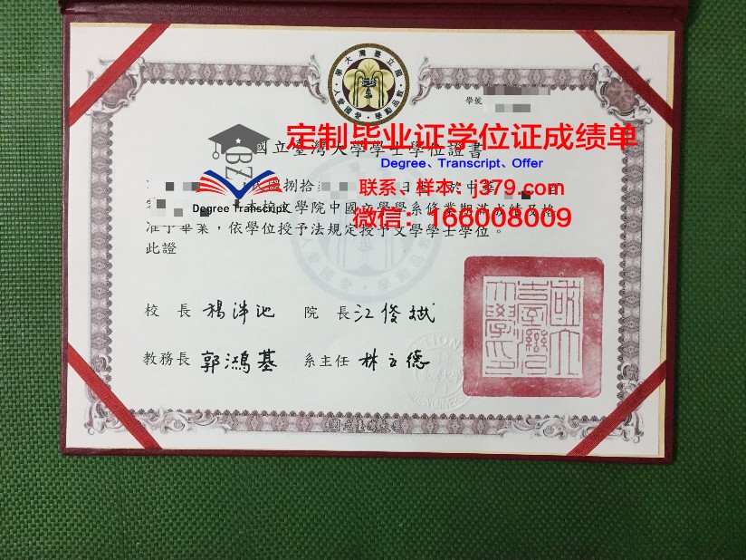 波尔多国立高等电子信息与无线电通讯学院文凭(波尔多大学申请条件)