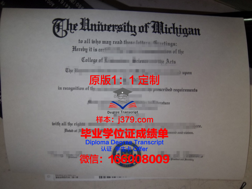 波尔多综合理工学院毕业证长什么样(波尔多综合理工学院毕业证长什么样图片)