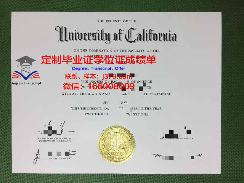 群马大学毕业证成绩单