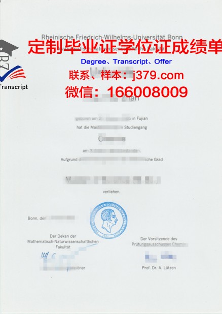 波恩大学成绩单(波恩大学全称)