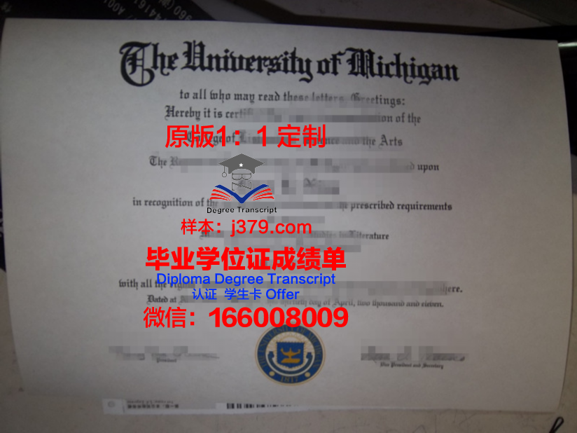 联合核子研究所毕业证成绩单：一份见证青春与奋斗的荣誉证书