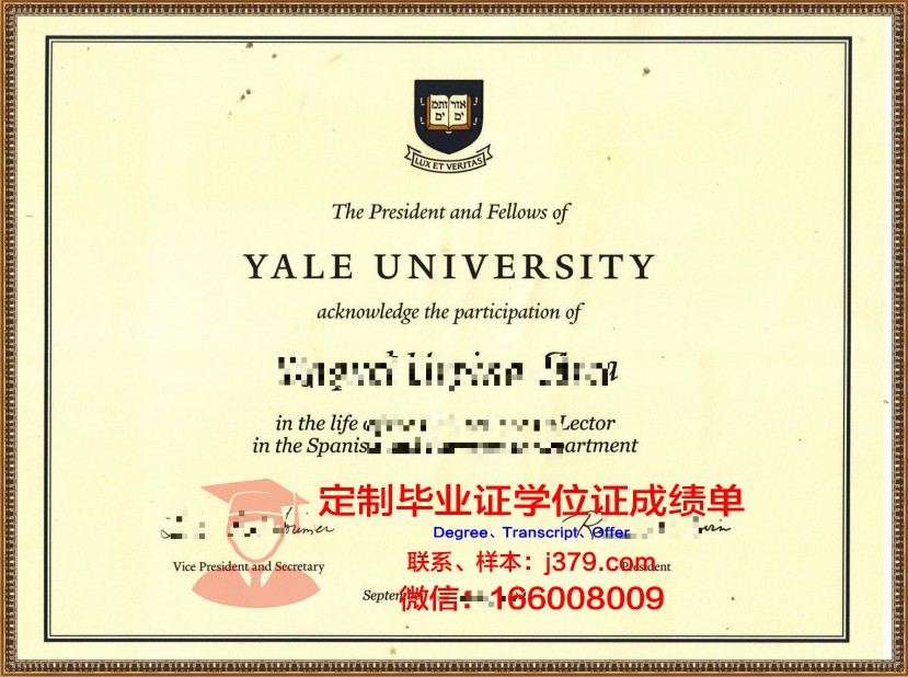 耶鲁大学为猫发毕业证(耶鲁大学毕业季)