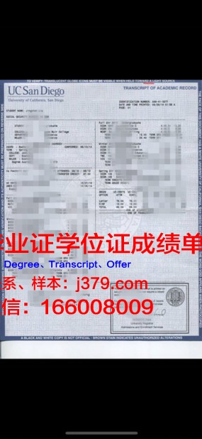 弗鲁米嫩大成绩单：一部揭示教育真谛的力作