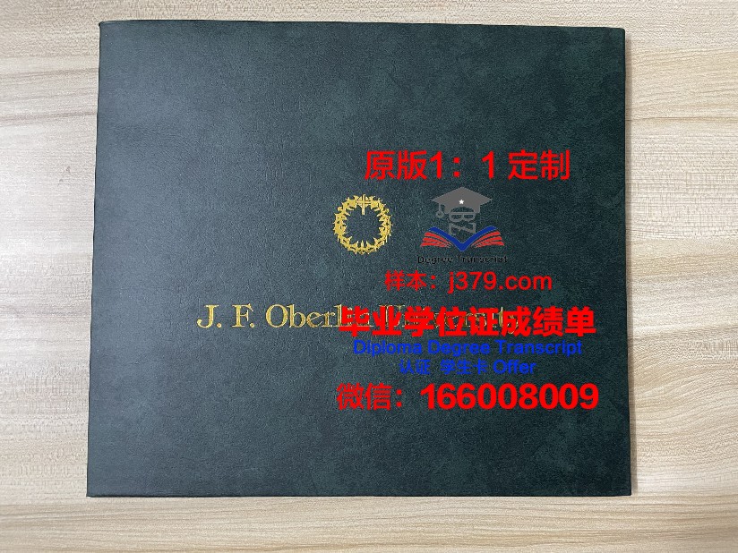 波洛茨克国立大学diploma证书(波罗茨克大学)