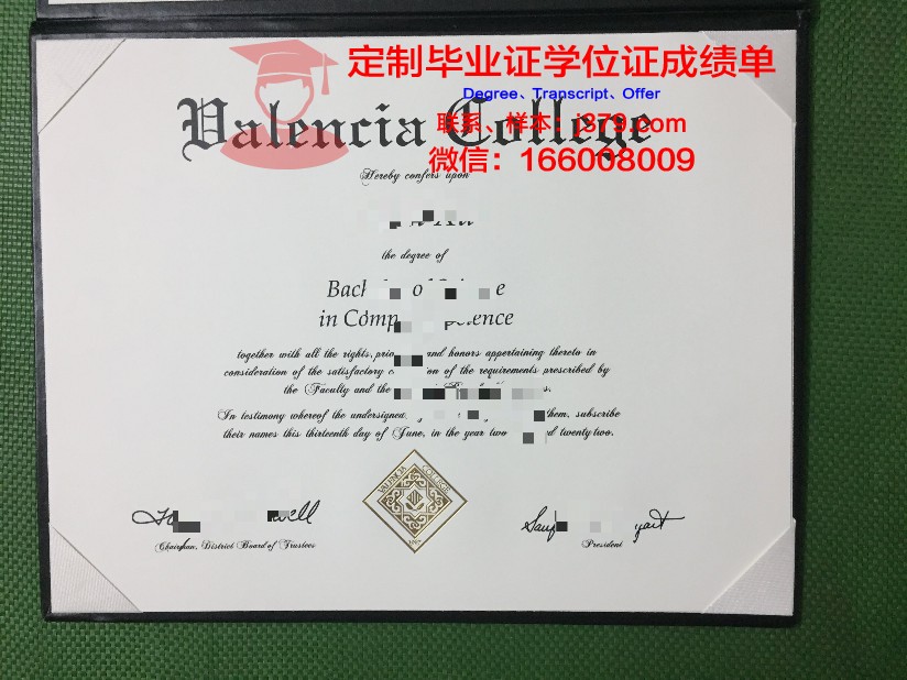 瓦伦西亚学院硕士毕业证：开启国际化职业发展的大门
