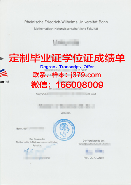 波恩大学毕业证书图片大全(波恩大学照片)
