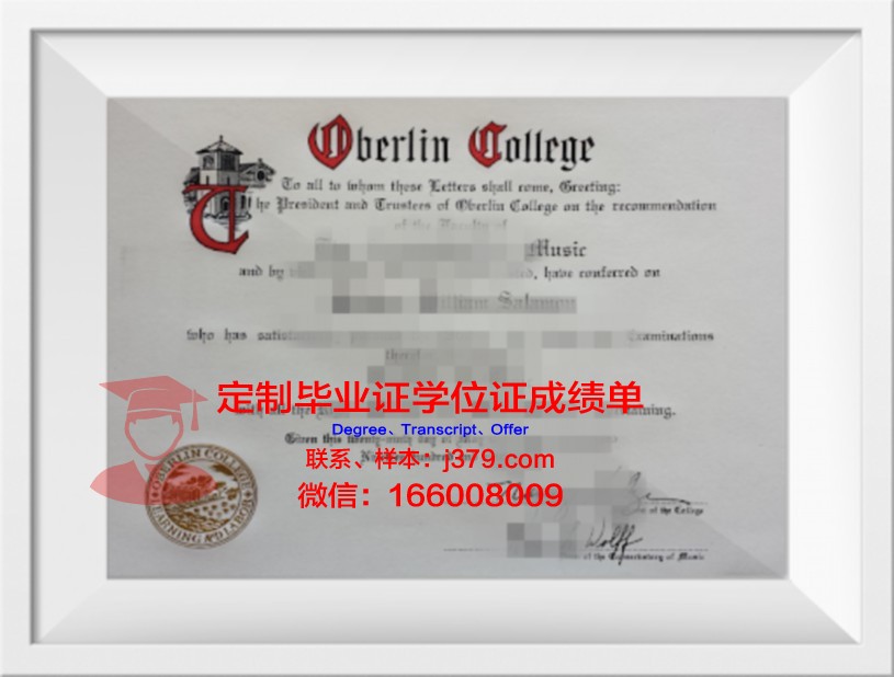 柏林斯泰恩拜斯应用技术大学成绩单：一份国际认可的学术荣誉