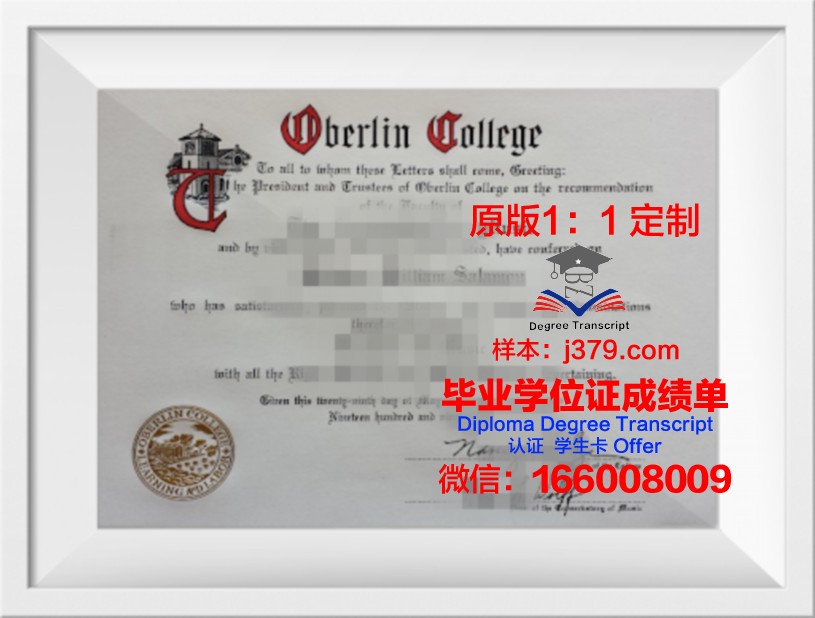 柏林媒体、通信与经济应用技术大学毕业证成绩单：一份含金量极高的学术证明