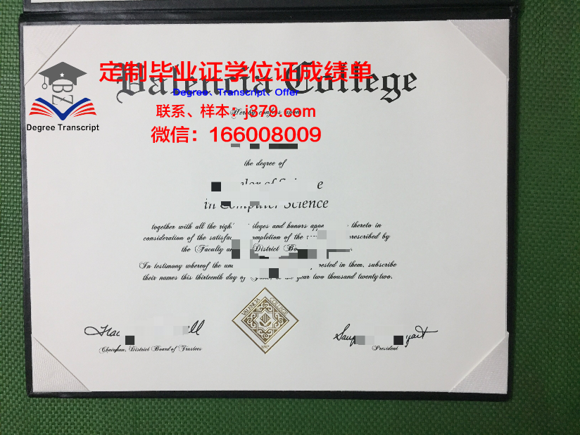 瓦伦西亚大学毕业证是英文版的吗(瓦伦西亚大学相当于国内什么大学)