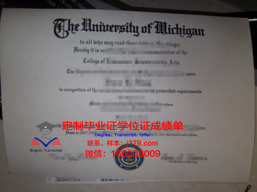美大博士毕业证：一张跨越国度的学术荣耀